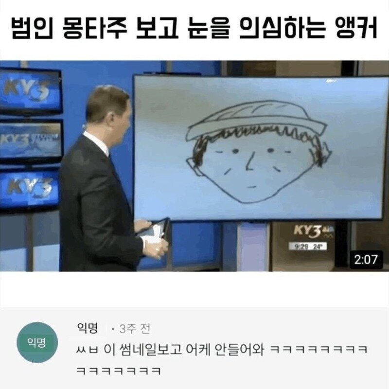 뉴스앵커를 당항시킨 범인의 몽타쥬