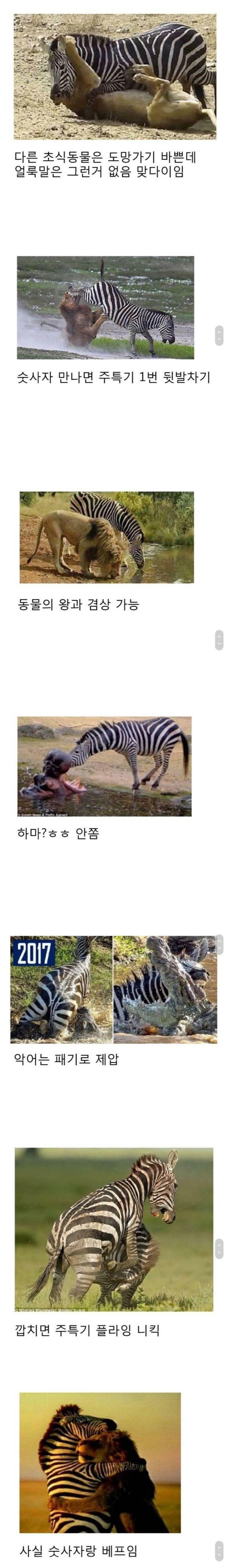 잘몰라뵈었던 초식동물 사기유닛