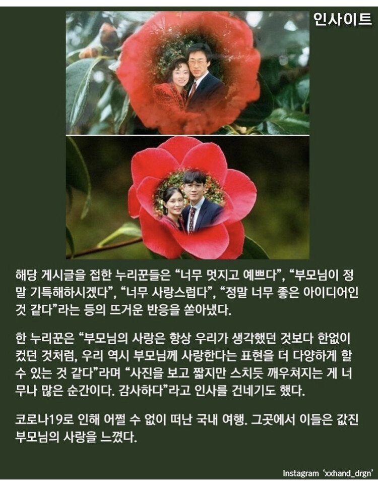 부모님 신혼여행 사진 똑같이 찍은 부부.