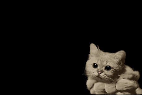 13561_0_i015408789000.gif