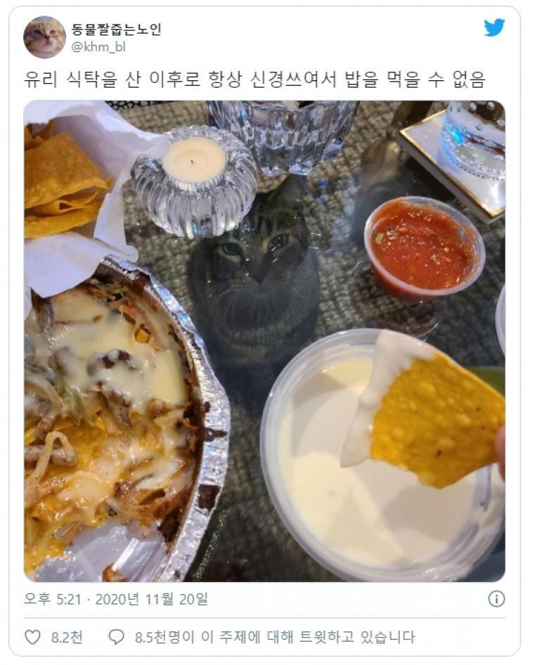 유리식탁 사고 밥을 못 먹는 집사