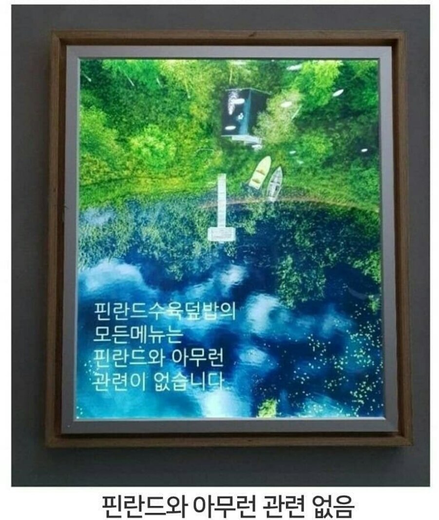 핀란드수육덮밥