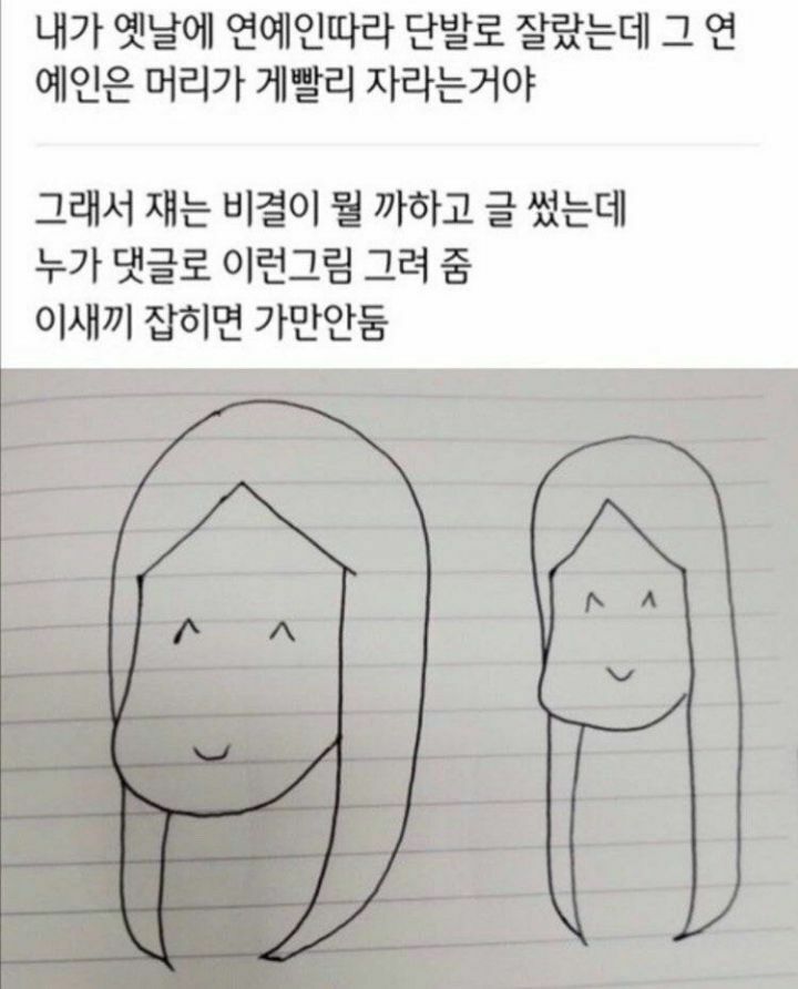 연예인은 머리가 빨리 자라는 이유