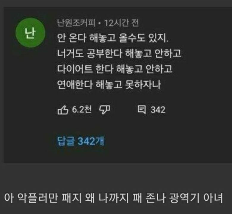 쯔양 복귀 영상에 달린 광역기