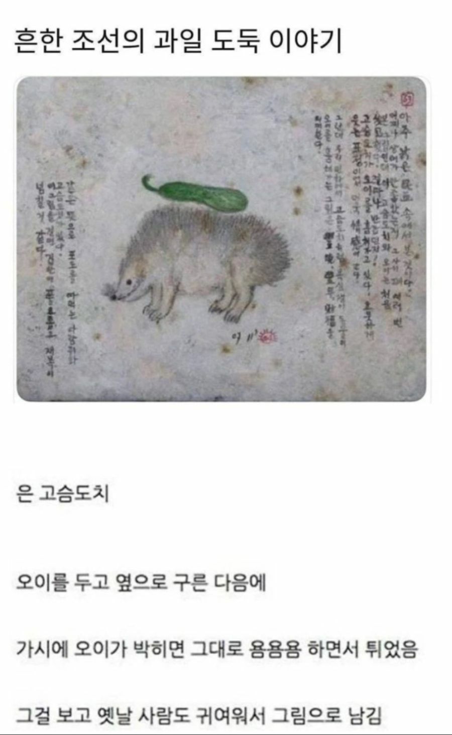 옛날 조선시대때 고슴도치가 과일을 훔쳐갔데