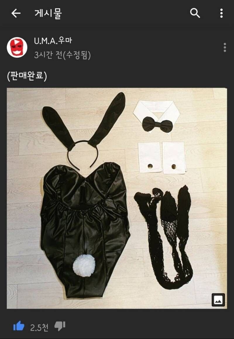 약후)본인이 촬영에 입은 바니걸 복장 판매한 유투버