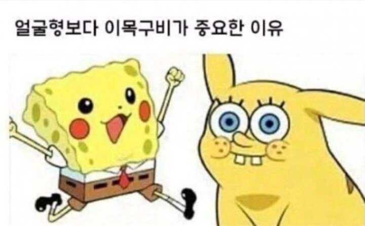 얼굴형보다 이목구비가 중요한 이유