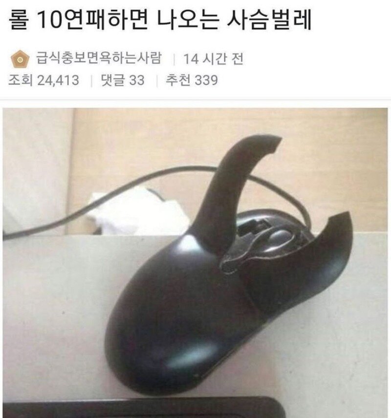 롤 10연패하면 나오는 사슴벌레