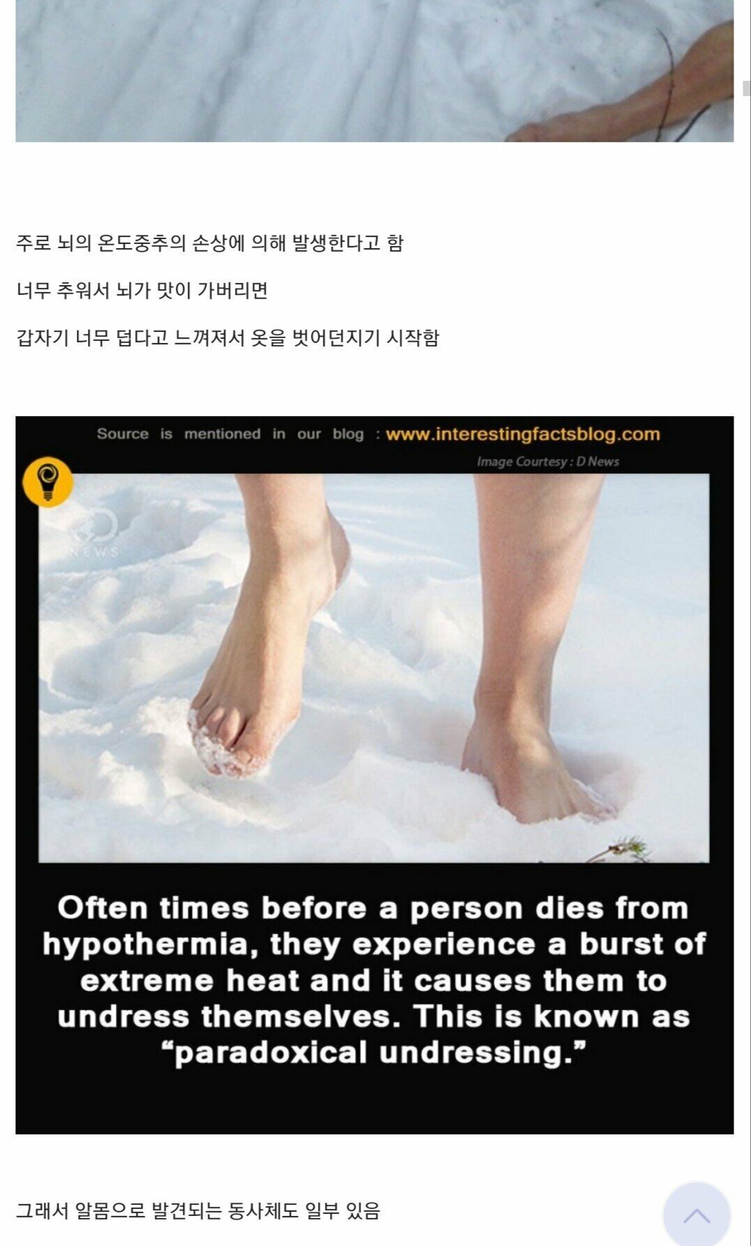 동사하기 직전 옷을 벗는 이유