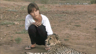 17675_1_i014124249663.gif