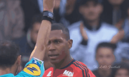 17740_1_i016263849109.gif