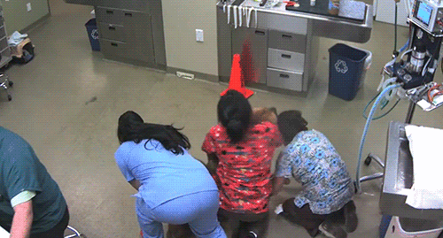 17754_0_i014178107456.gif