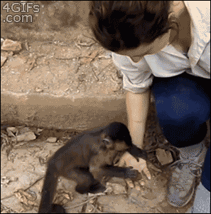 17810_1_i014652275421.gif