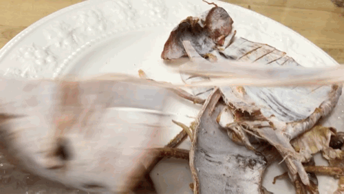 17812_0_i015423708819.gif