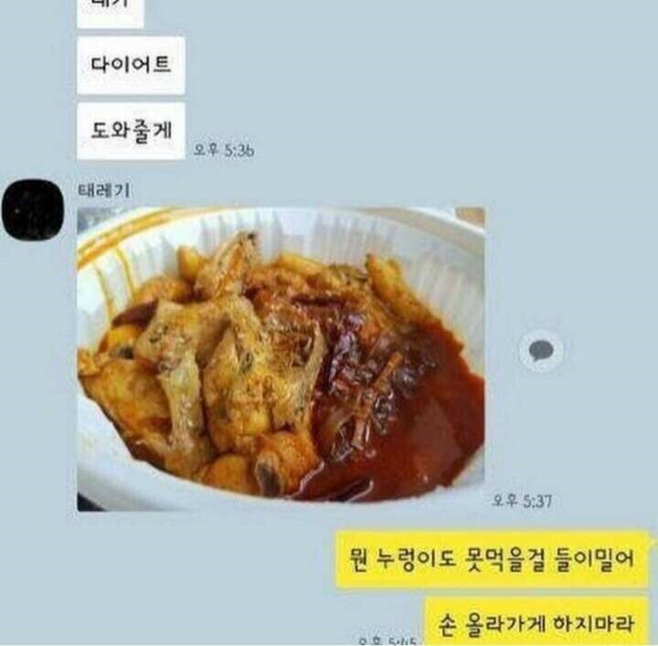 태극권의 고수들