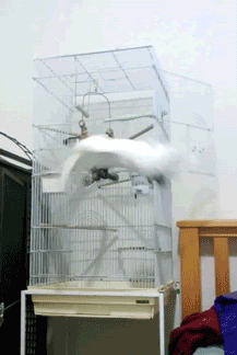 18048_4_i013649686008.gif