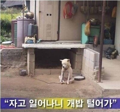 자고 일어났더니 분해되어 있는 벤츠...