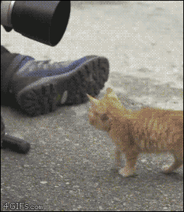 18282_0_i014084244890.gif