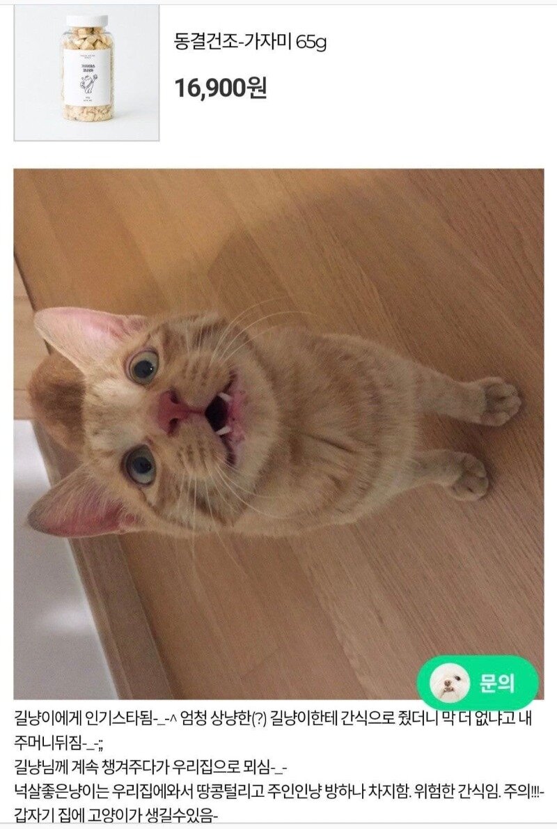 고양이 간식 후기