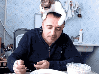 18488_0_i014718194410.gif