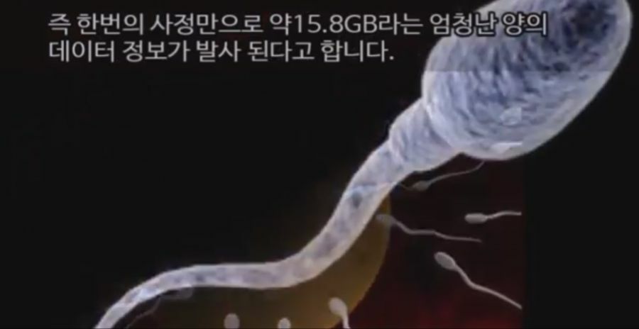 오늘 데이터 30GB 넘게 씀 ㄷㄷ