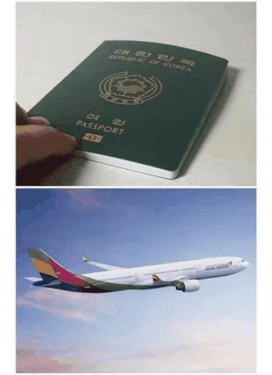 비행기 여권 짤 가져왔습니다.