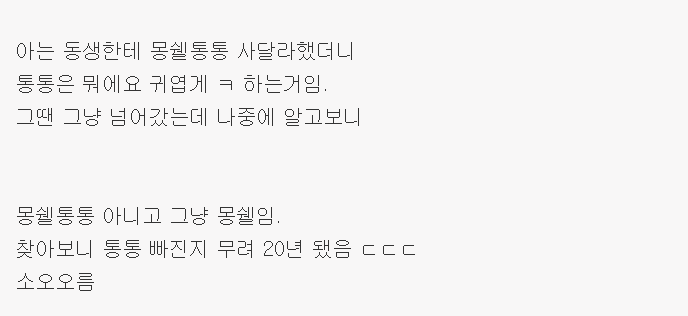 몽쉘통통의 충격적인 비밀