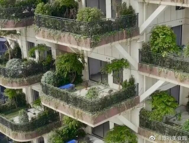 800가구중 10가구만 산다는 중국 아파트