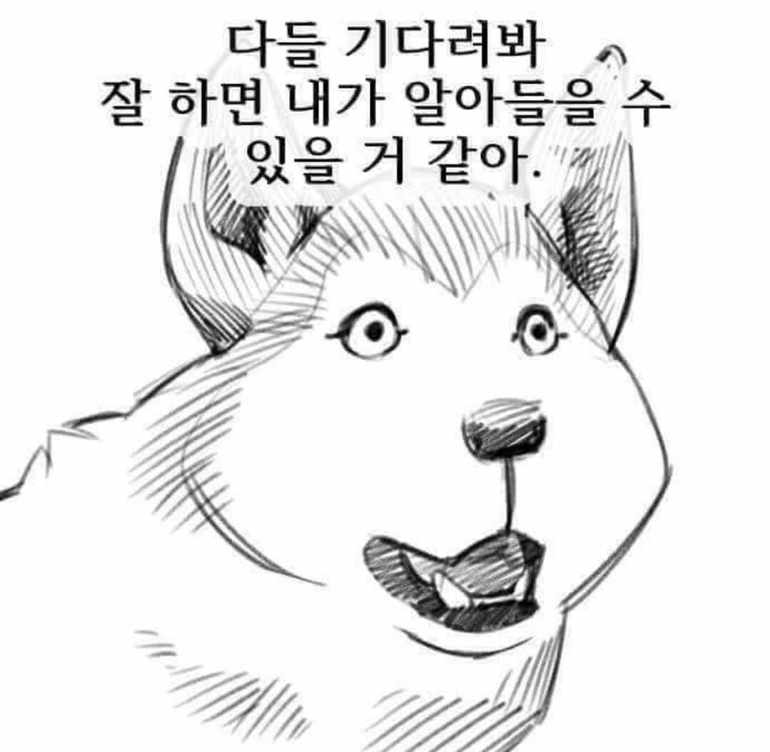 ???  국방부 폐지 해야죠....