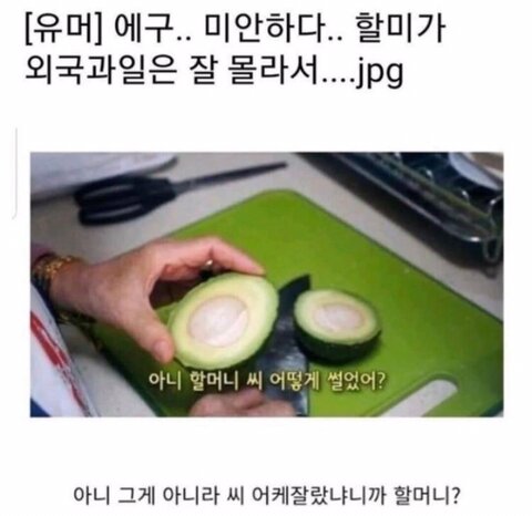 에구 할미가 외국 과일 몰라서 이렇게 해버렸어 ㅠ