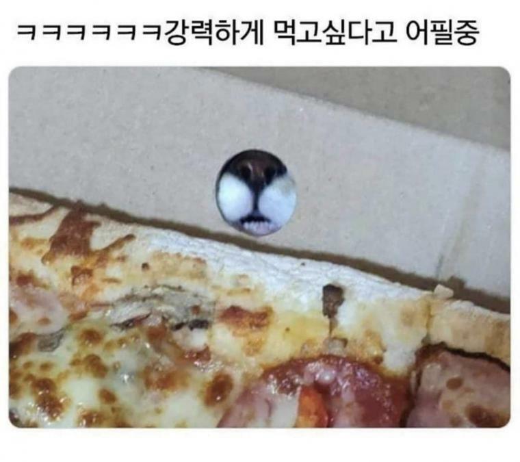 강력하게 먹고싶다고 어필중