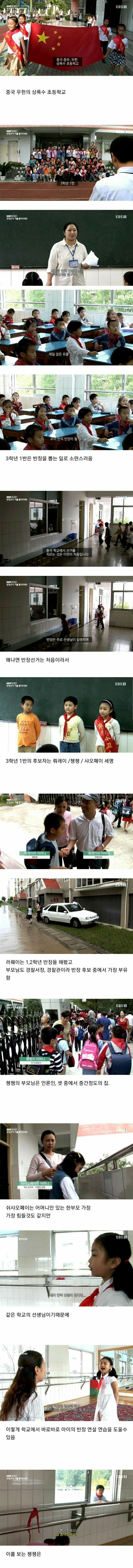 짱개 초딩들의 정치질.jpg