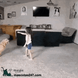 23359_0_i013495614673.gif