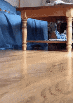 24380_0_i015068378400.gif