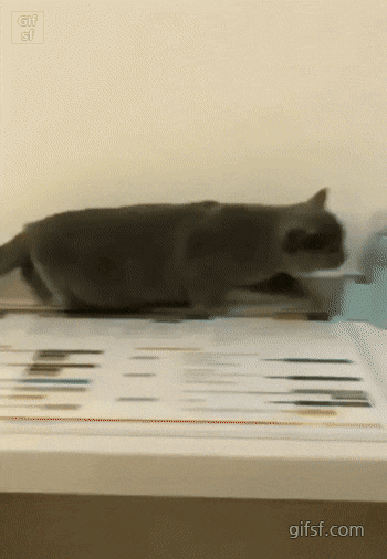 24887_1_i013653621097.gif