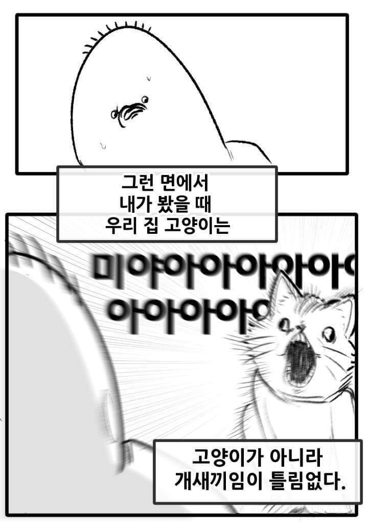 고양이랑 산책하는 만화