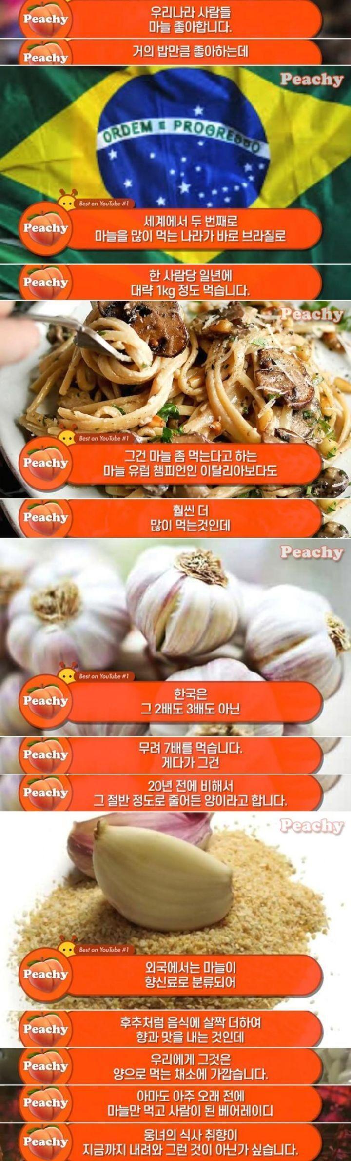 먹는것에 누구보다 진심인 한국인들