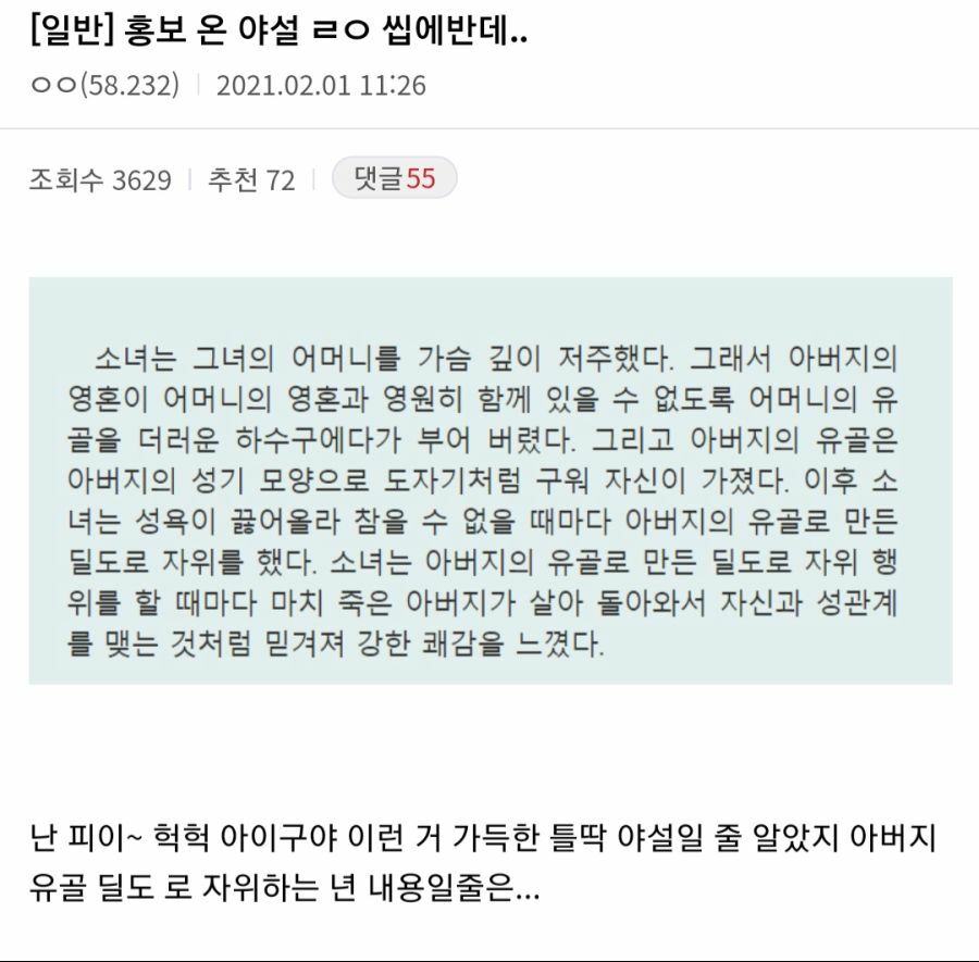 디씨에 올라온 야설 홍보