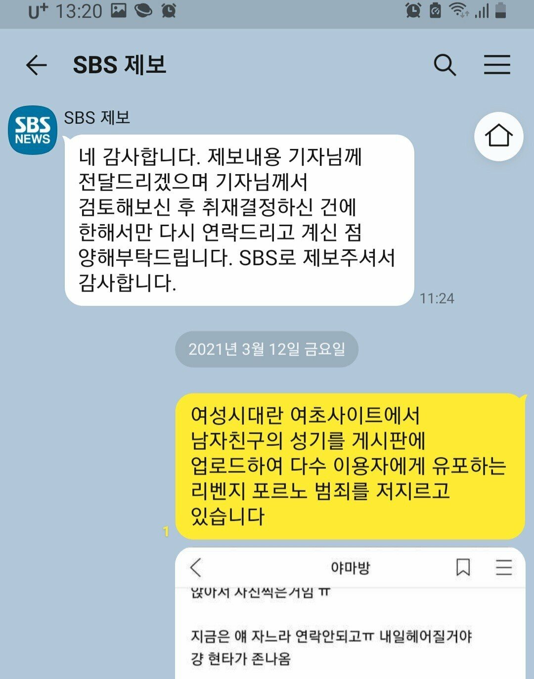 여시 리벤지 포르노 장작 넣은 개드립