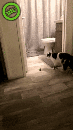 27046_0_i014048277674.gif
