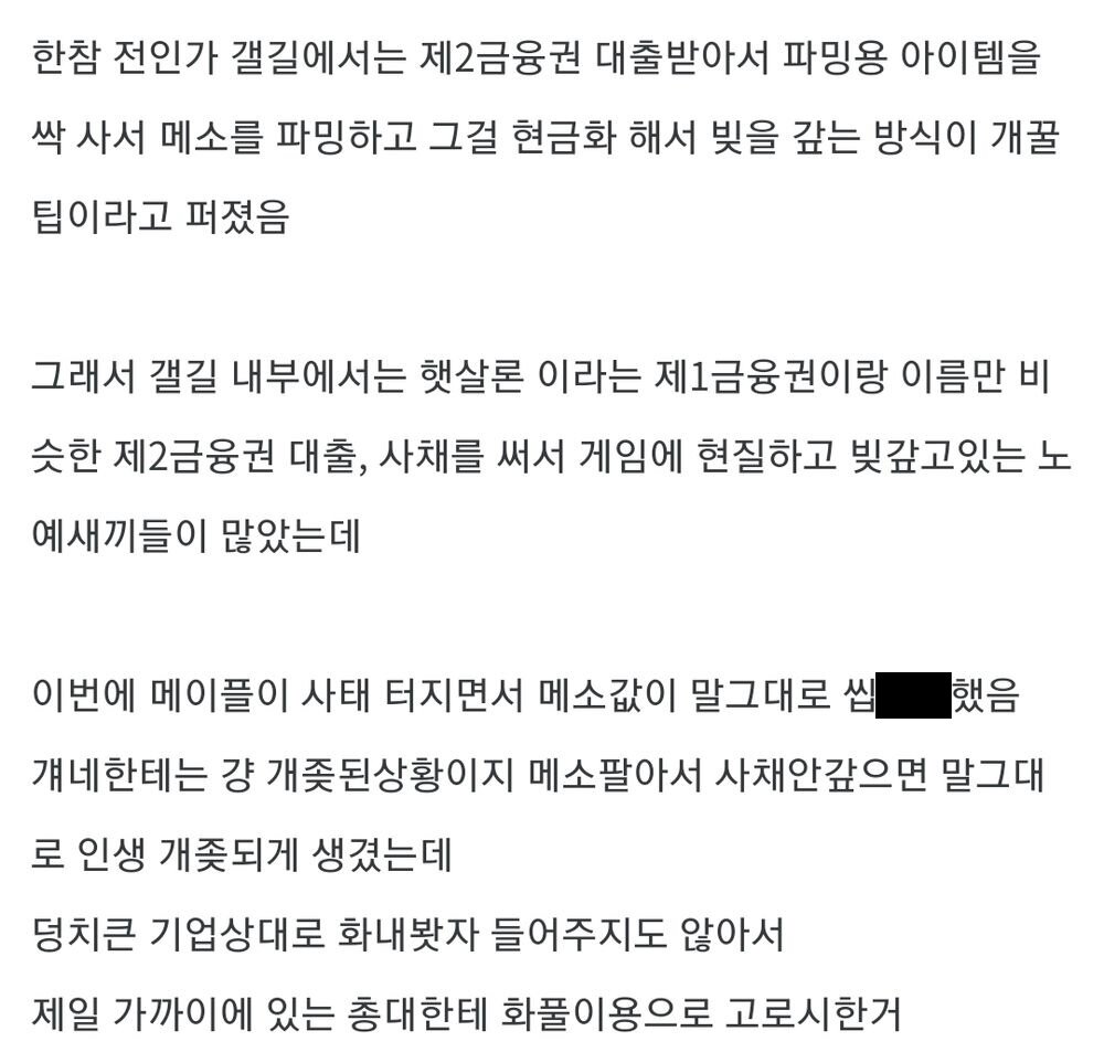 메이플) 악착같이 메이플을 쉴드치는 이유