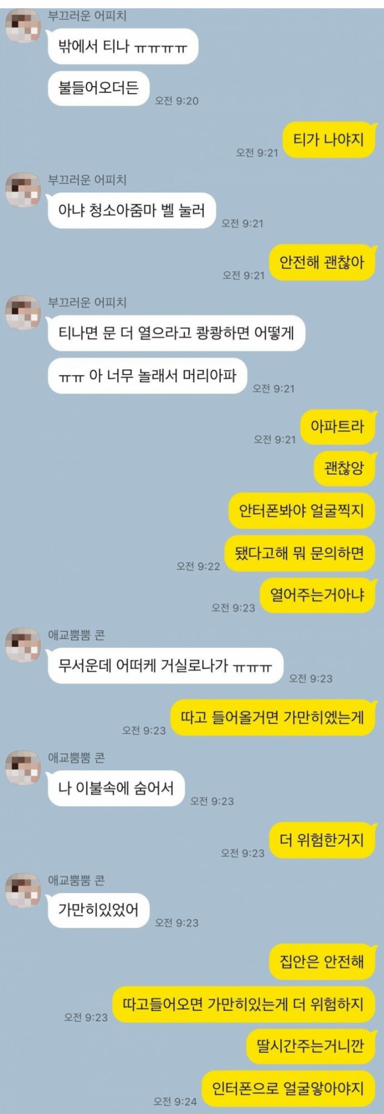 놀랬지? 괜찮아?