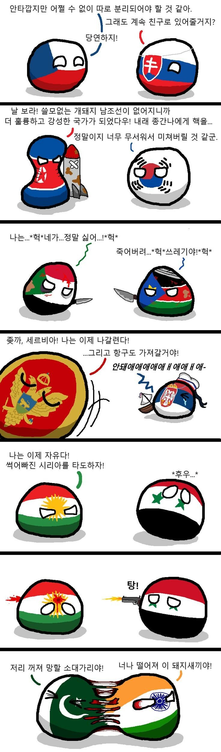 폴란드볼 분단된 나라