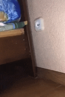 27467_0_i014703200274.gif