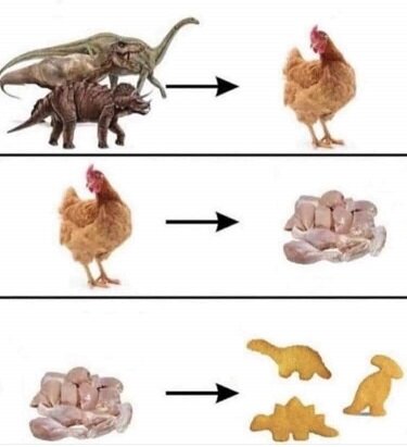 공룡의 진화