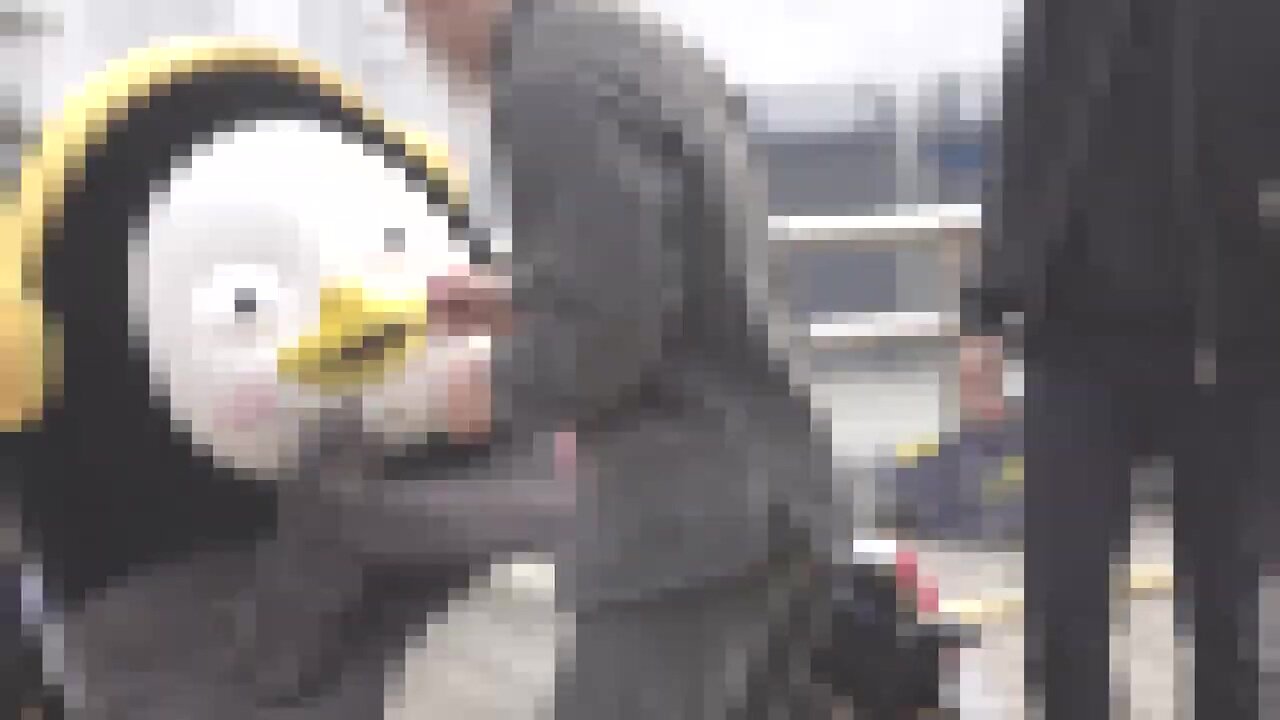 28427_12_i14302547357.jpg