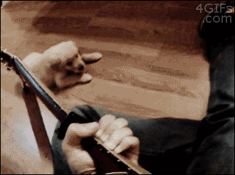 28470_0_i015063521327.gif