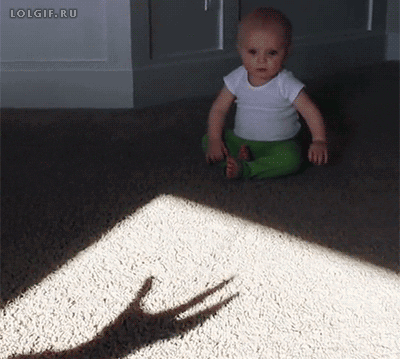 28670_1_i015675555444.gif