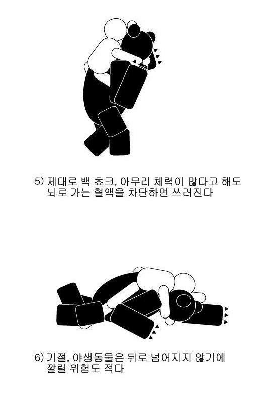 약스압 산에서 곰만났을때의 별 도움 안되는 대처법