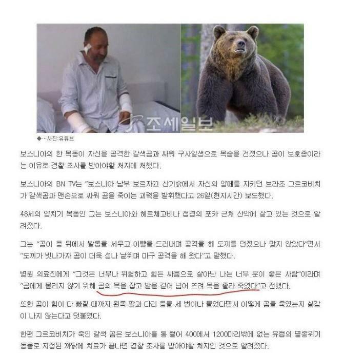 약스압 산에서 곰만났을때의 별 도움 안되는 대처법